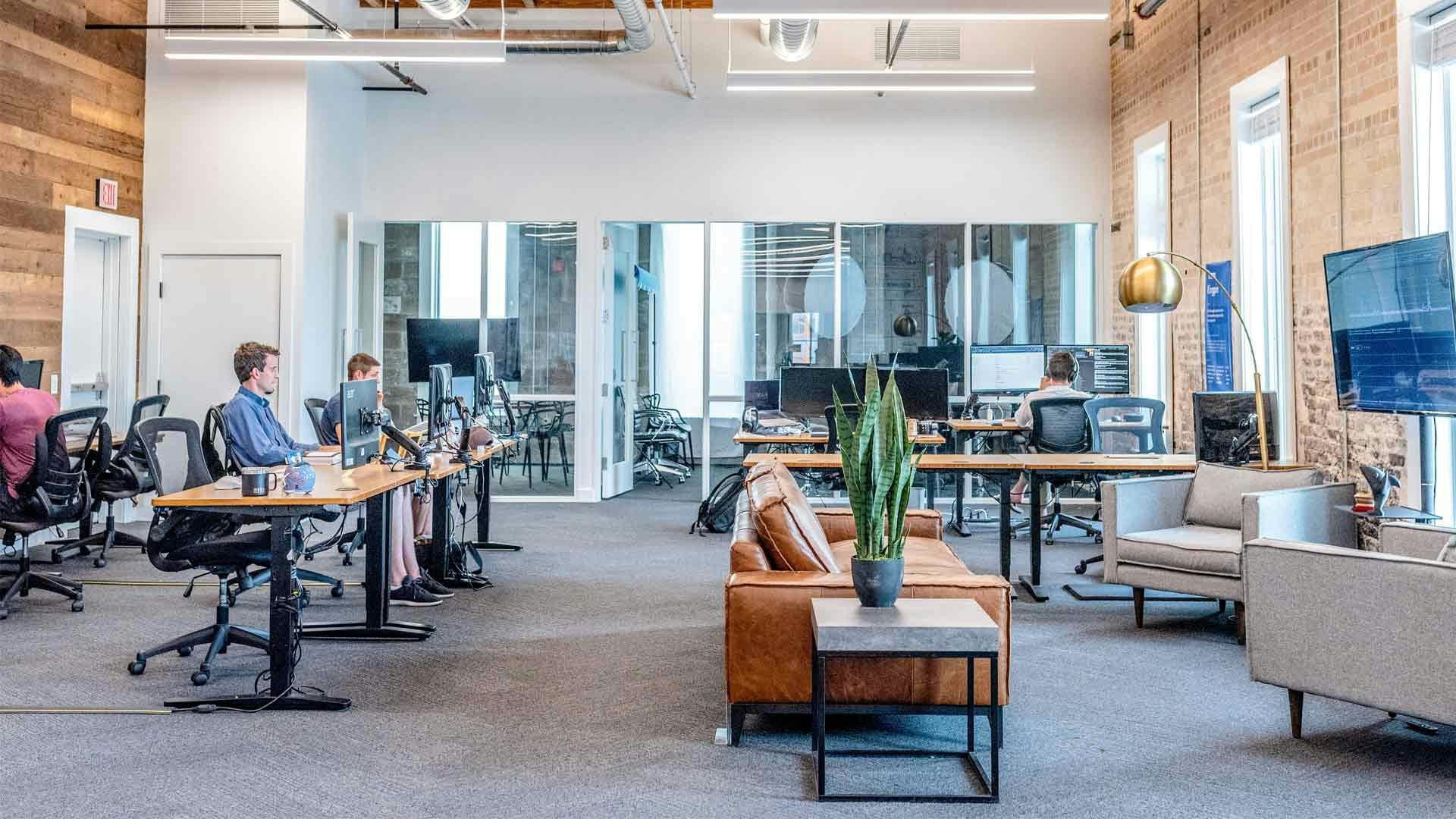 Employees Working in a Modern Office